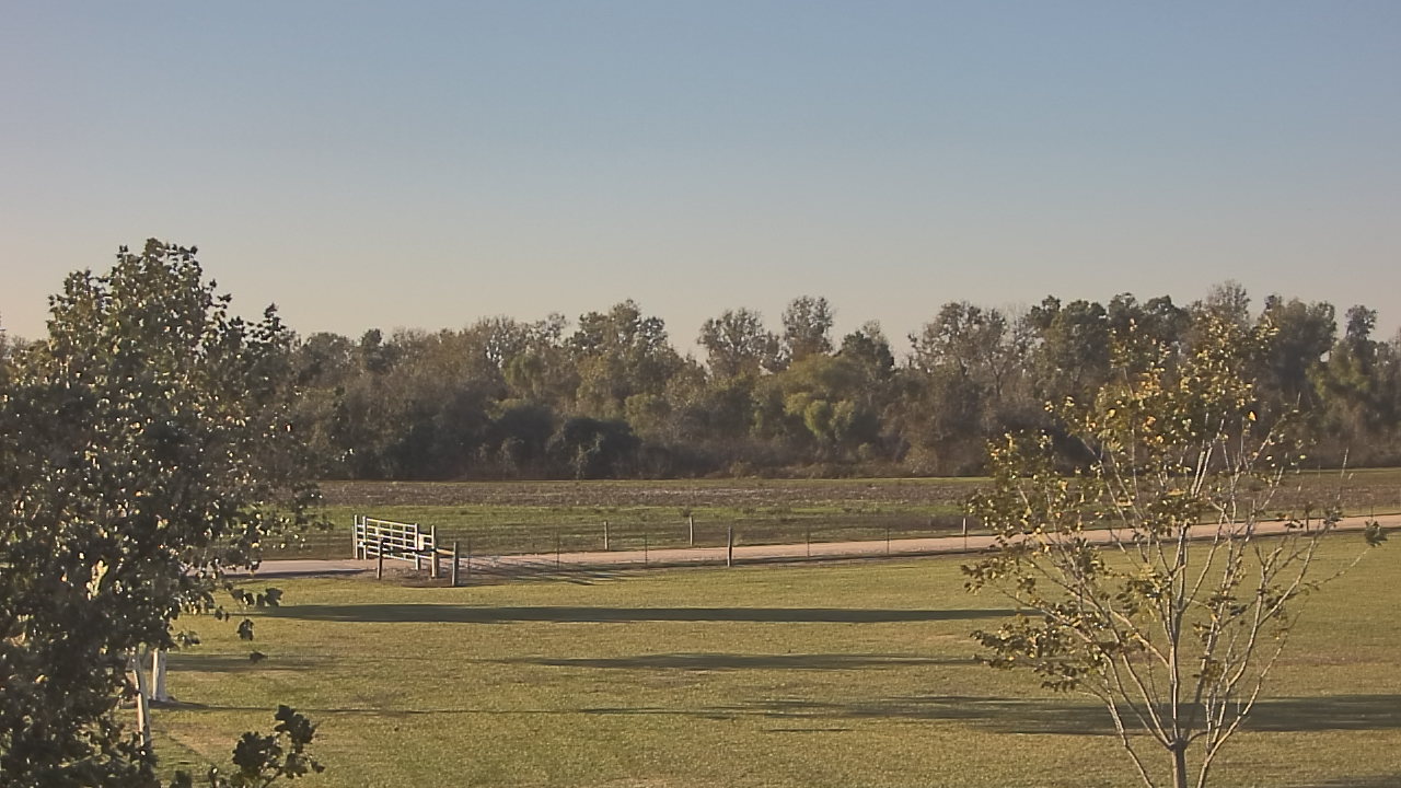 Thumbnail for current weather camera view from Long Acres Ranch in Richmond, Texas