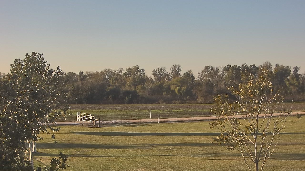 Thumbnail for current weather camera view from Long Acres Ranch in Richmond, Texas