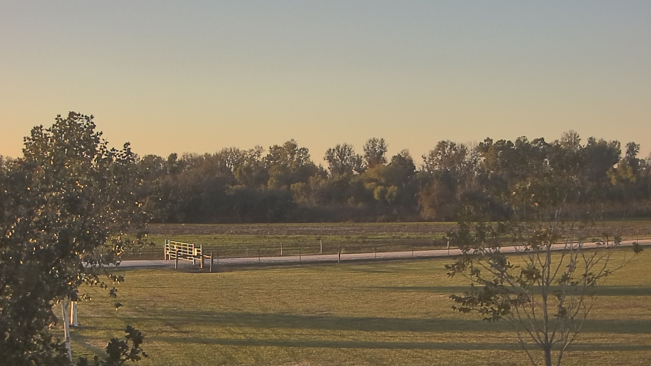 Thumbnail for current weather camera view from Long Acres Ranch in Richmond, Texas