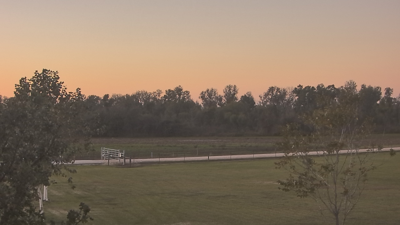 Thumbnail for current weather camera view from Long Acres Ranch in Richmond, Texas