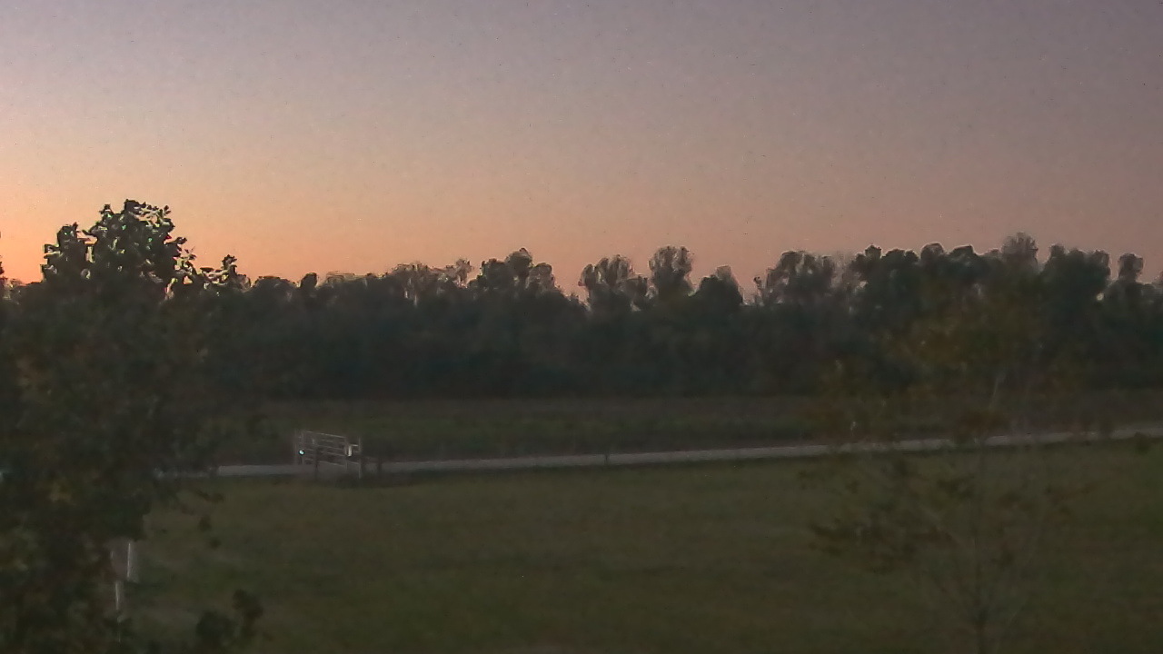 Thumbnail for current weather camera view from Long Acres Ranch in Richmond, Texas