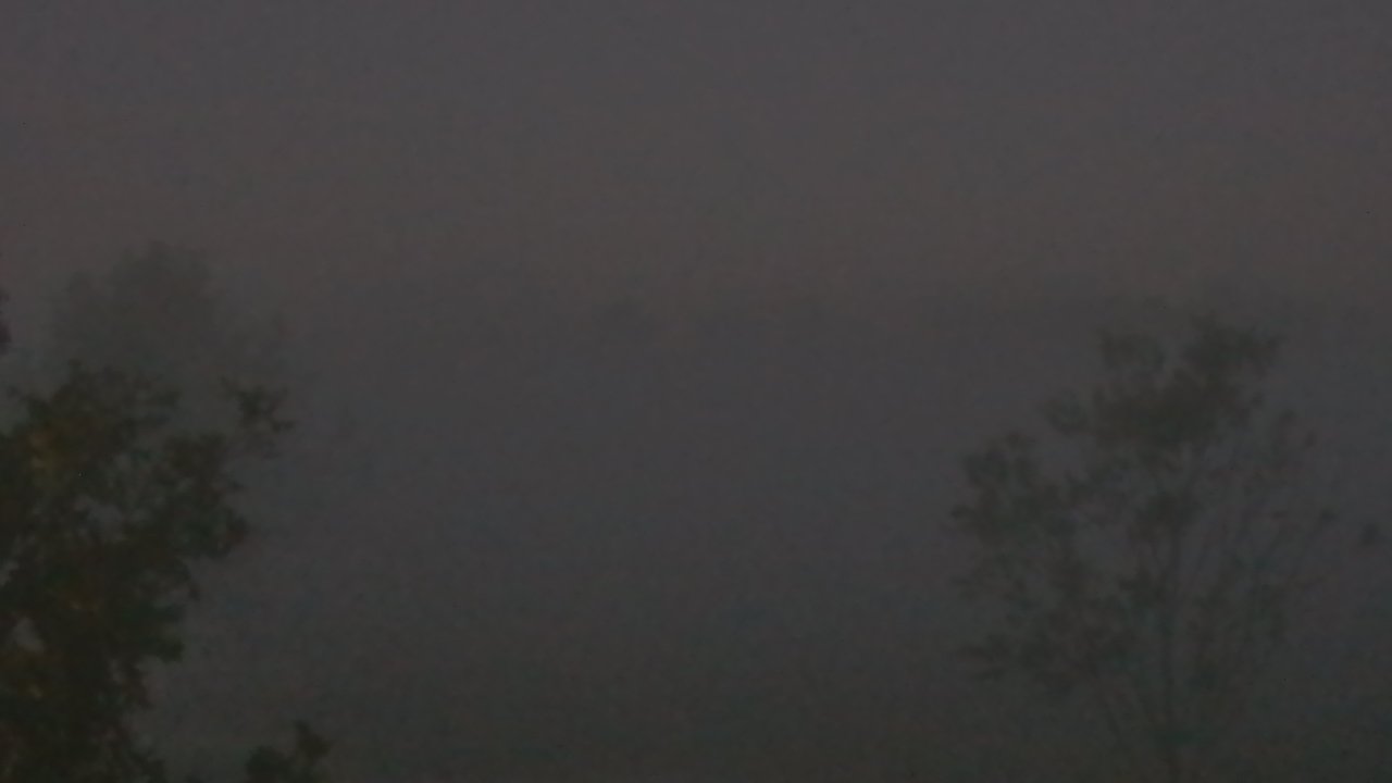 Thumbnail for current weather camera view from Long Acres Ranch in Richmond, Texas