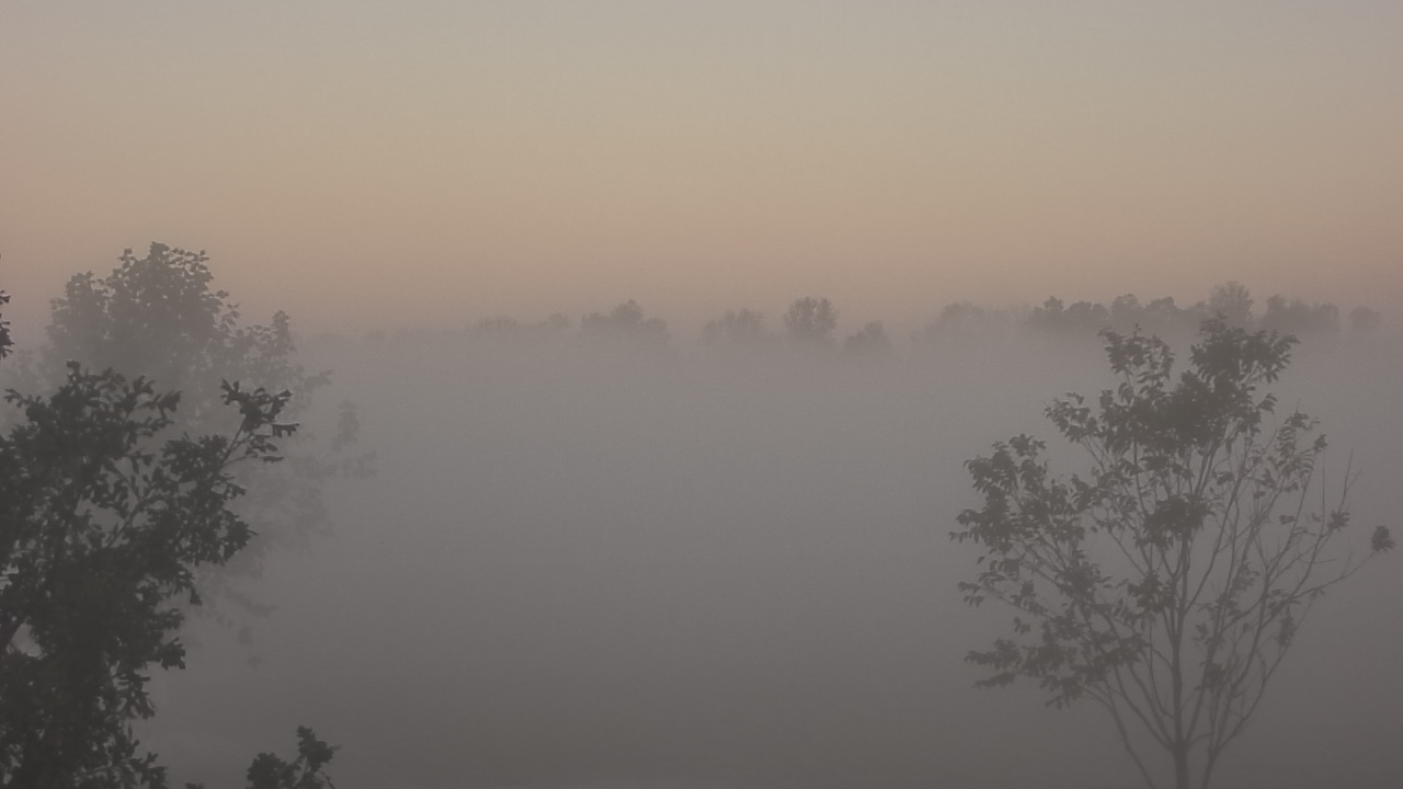 Thumbnail for current weather camera view from Long Acres Ranch in Richmond, Texas