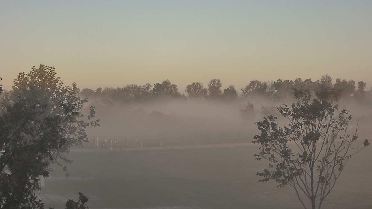 Thumbnail for current weather camera view from Long Acres Ranch in Richmond, Texas