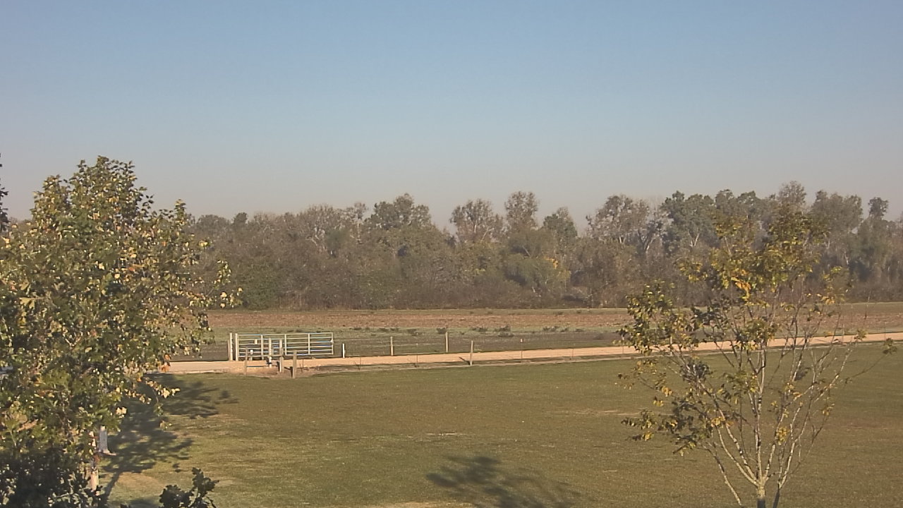 Thumbnail for current weather camera view from Long Acres Ranch in Richmond, Texas