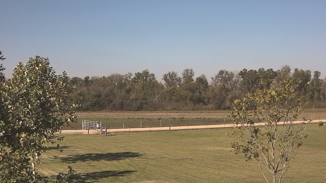 Thumbnail for current weather camera view from Long Acres Ranch in Richmond, Texas