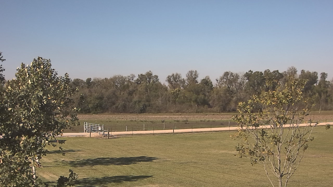 Thumbnail for current weather camera view from Long Acres Ranch in Richmond, Texas