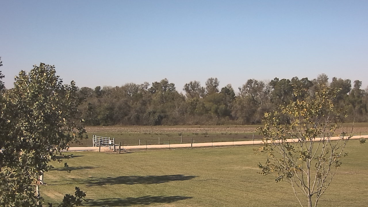 Thumbnail for current weather camera view from Long Acres Ranch in Richmond, Texas
