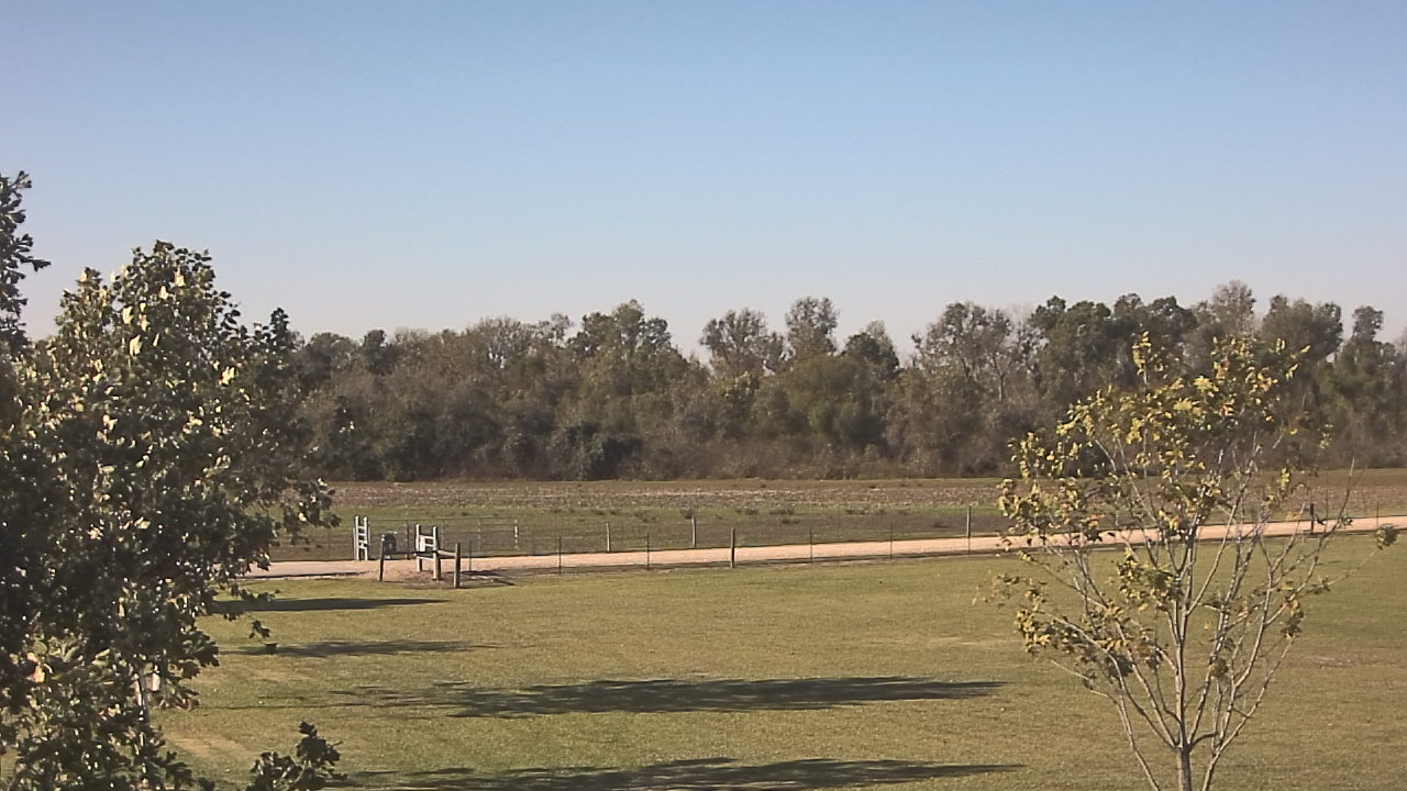 Thumbnail for current weather camera view from Long Acres Ranch in Richmond, Texas