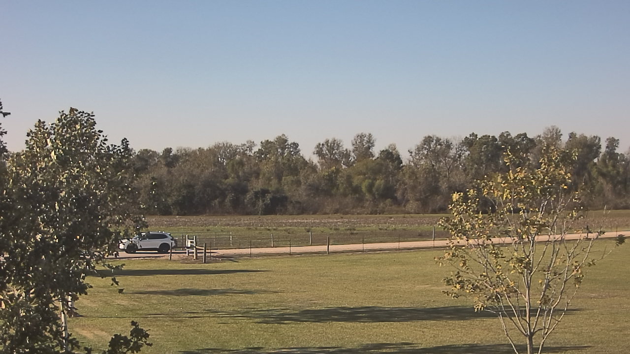 Thumbnail for current weather camera view from Long Acres Ranch in Richmond, Texas