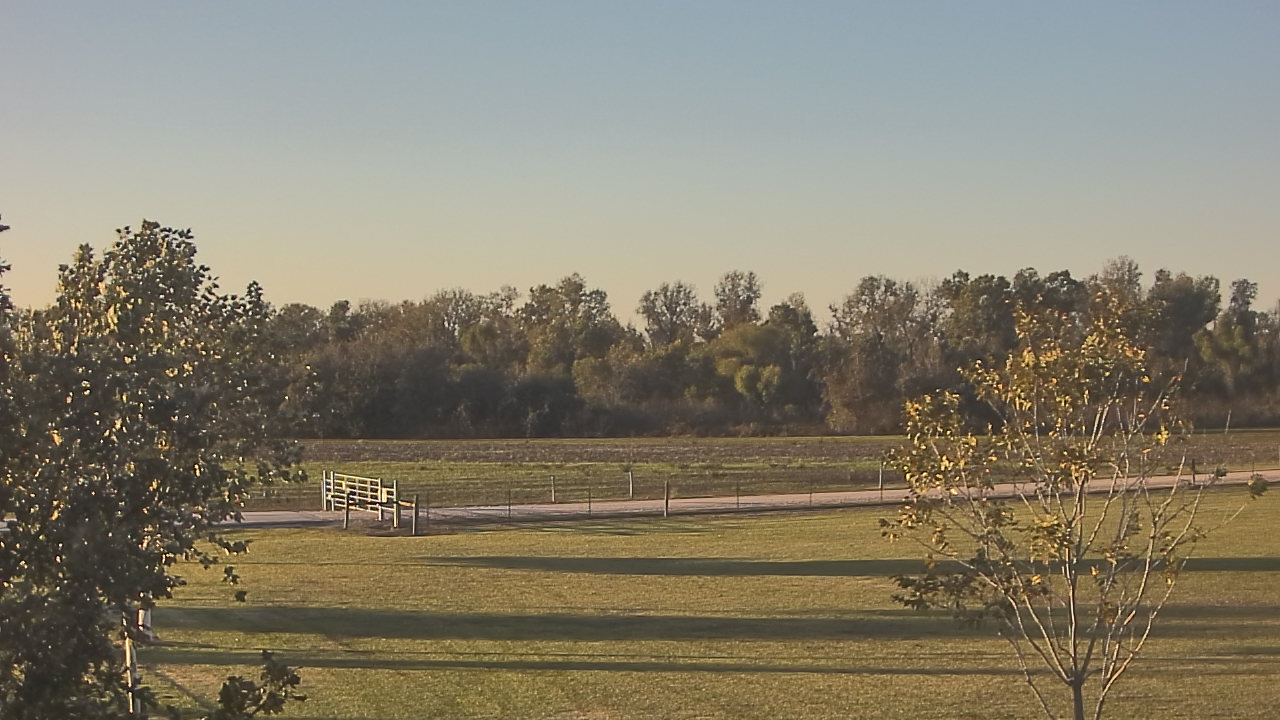 Thumbnail for current weather camera view from Long Acres Ranch in Richmond, Texas