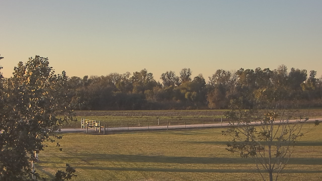 Thumbnail for current weather camera view from Long Acres Ranch in Richmond, Texas