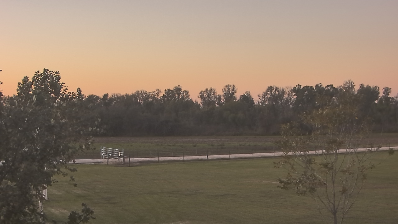 Thumbnail for current weather camera view from Long Acres Ranch in Richmond, Texas