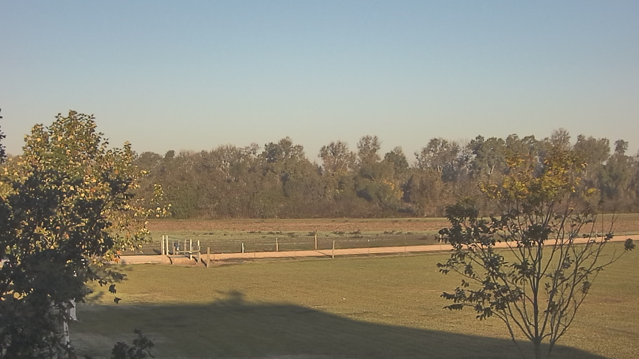 Thumbnail for current weather camera view from Long Acres Ranch in Richmond, Texas