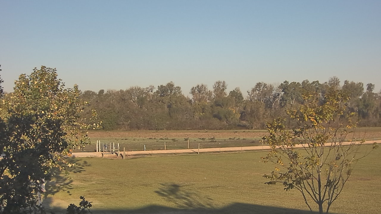 Thumbnail for current weather camera view from Long Acres Ranch in Richmond, Texas