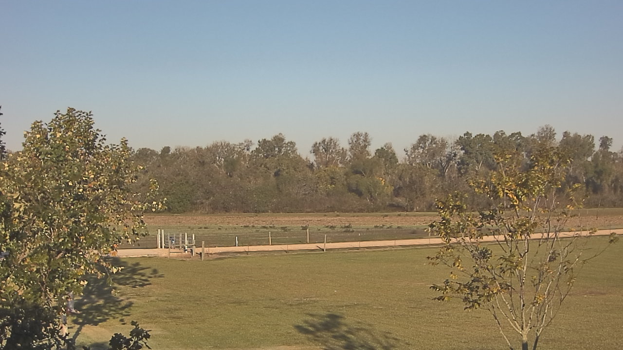 Thumbnail for current weather camera view from Long Acres Ranch in Richmond, Texas