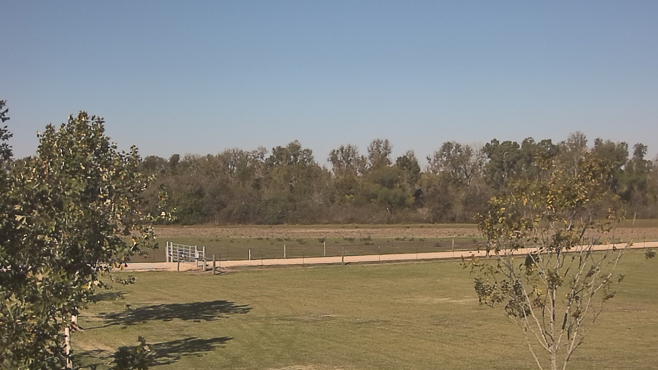 Thumbnail for current weather camera view from Long Acres Ranch in Richmond, Texas