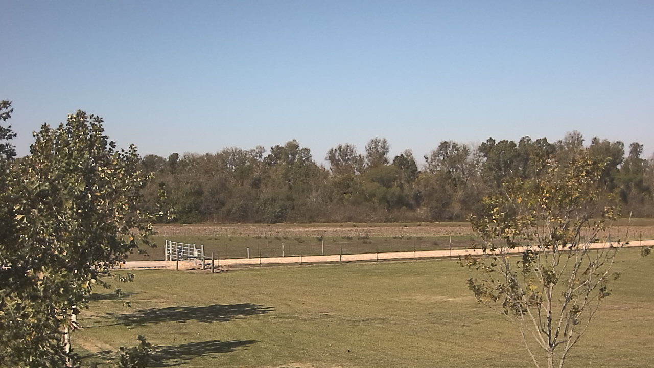 Thumbnail for current weather camera view from Long Acres Ranch in Richmond, Texas