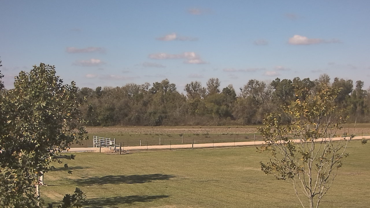 Thumbnail for current weather camera view from Long Acres Ranch in Richmond, Texas