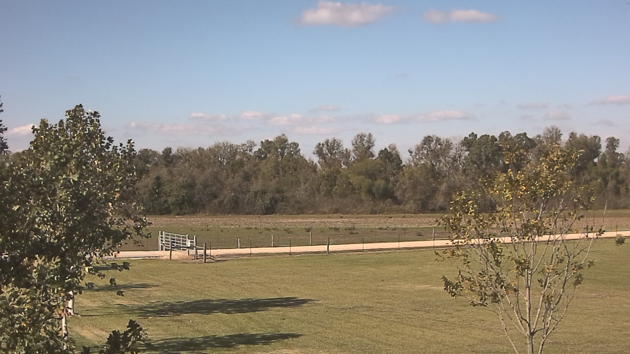 Thumbnail for current weather camera view from Long Acres Ranch in Richmond, Texas