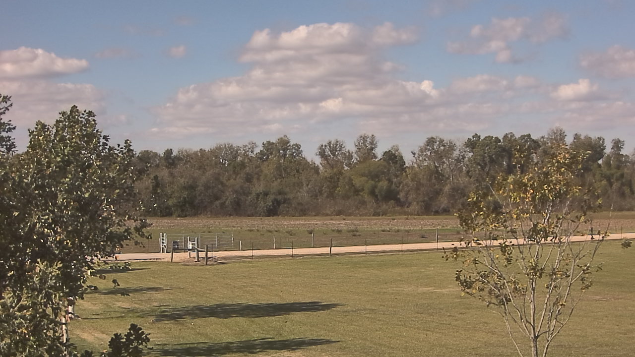 Thumbnail for current weather camera view from Long Acres Ranch in Richmond, Texas