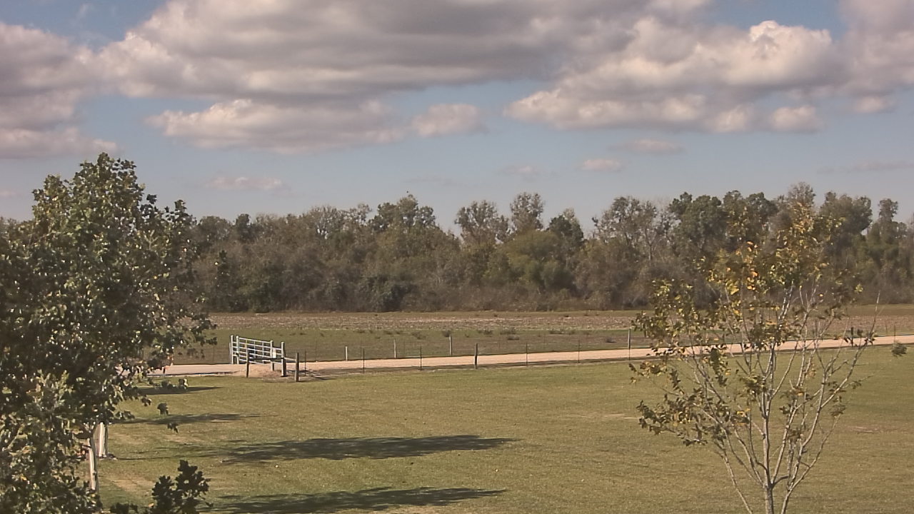 Thumbnail for current weather camera view from Long Acres Ranch in Richmond, Texas