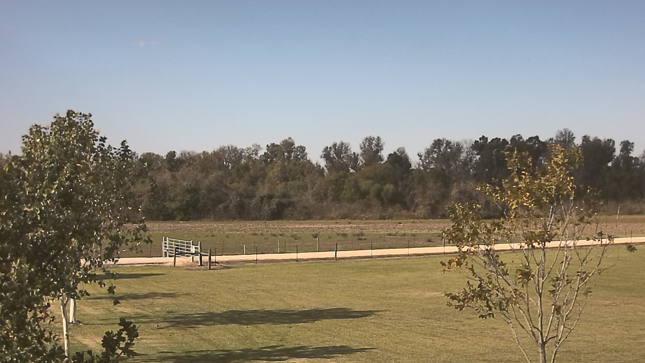 Thumbnail for current weather camera view from Long Acres Ranch in Richmond, Texas