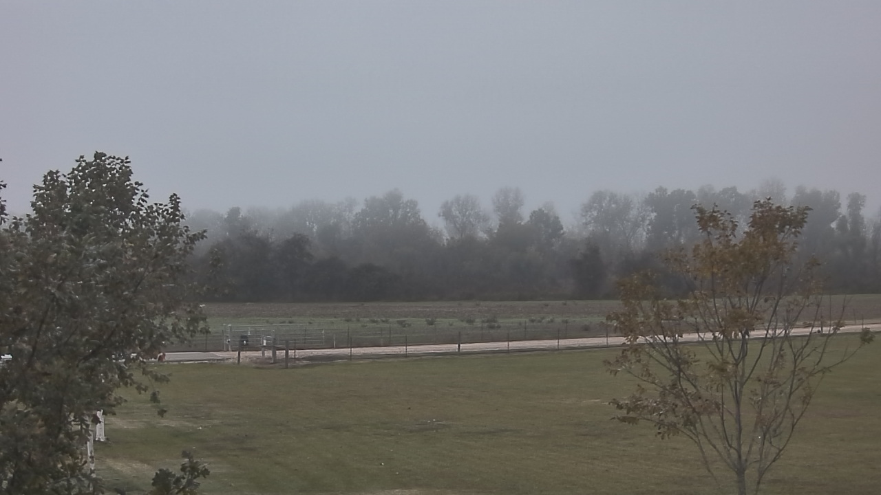 Thumbnail for current weather camera view from Long Acres Ranch in Richmond, Texas