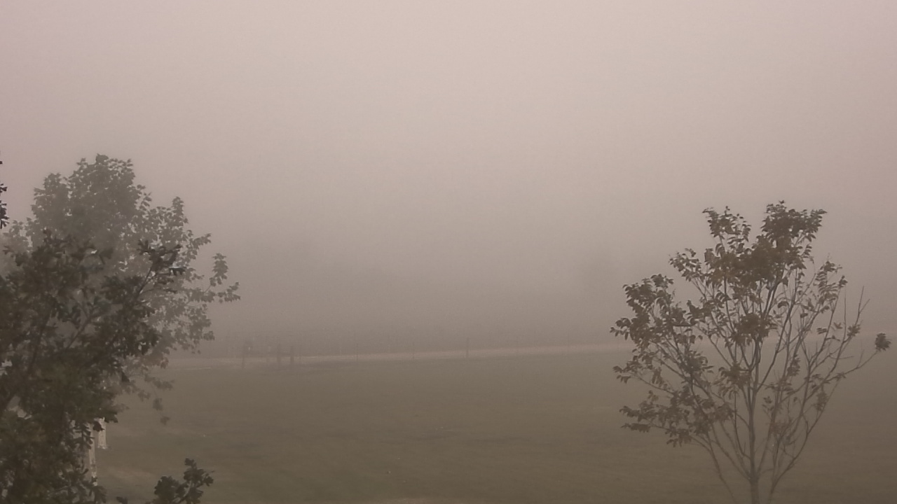 Thumbnail for current weather camera view from Long Acres Ranch in Richmond, Texas