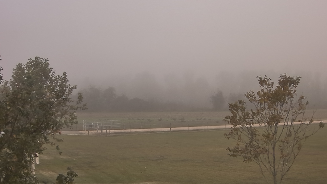 Thumbnail for current weather camera view from Long Acres Ranch in Richmond, Texas