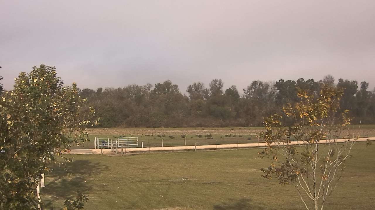 Thumbnail for current weather camera view from Long Acres Ranch in Richmond, Texas