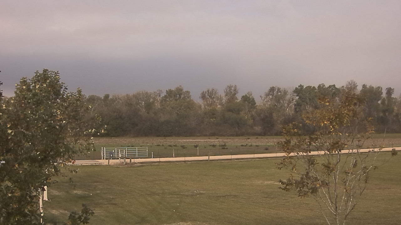 Thumbnail for current weather camera view from Long Acres Ranch in Richmond, Texas