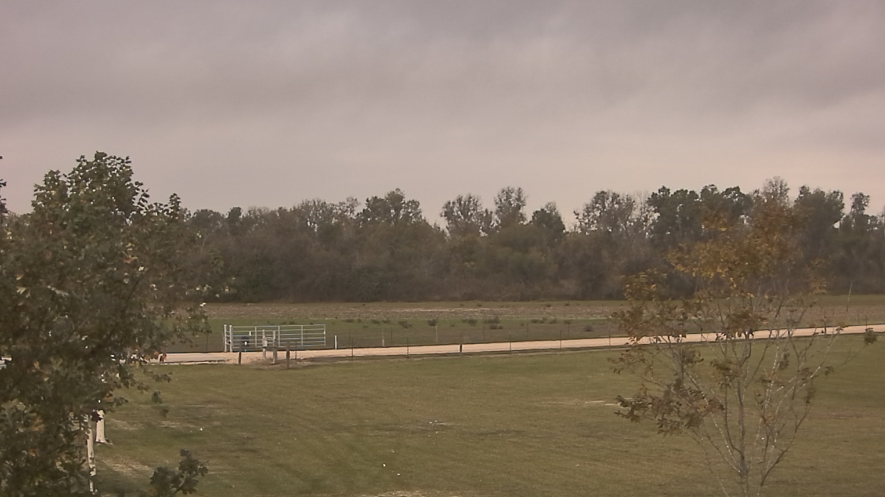 Thumbnail for current weather camera view from Long Acres Ranch in Richmond, Texas