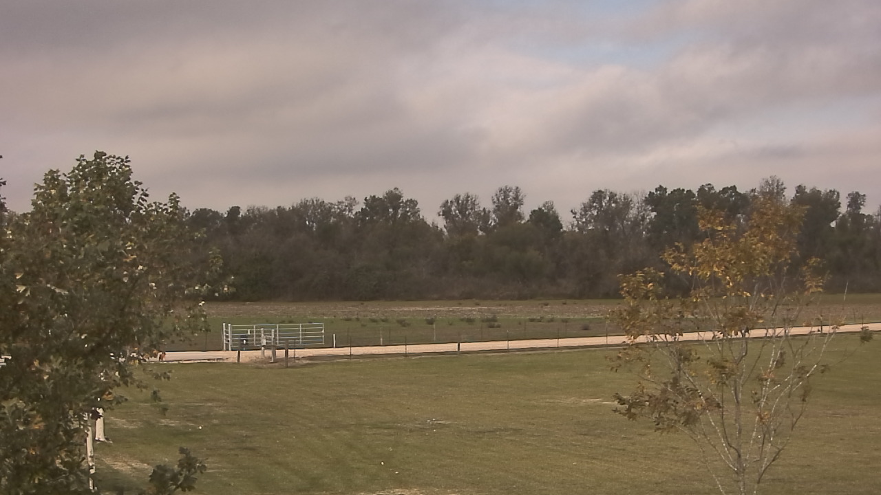 Thumbnail for current weather camera view from Long Acres Ranch in Richmond, Texas