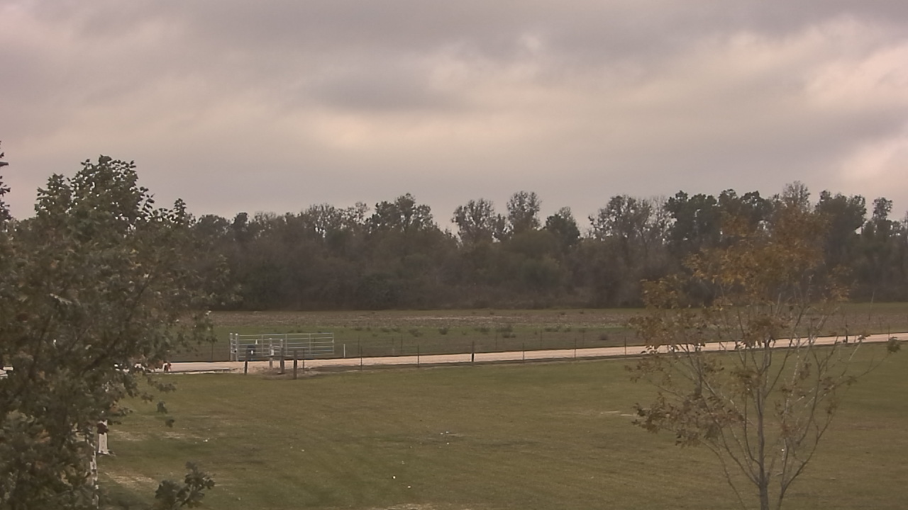 Thumbnail for current weather camera view from Long Acres Ranch in Richmond, Texas