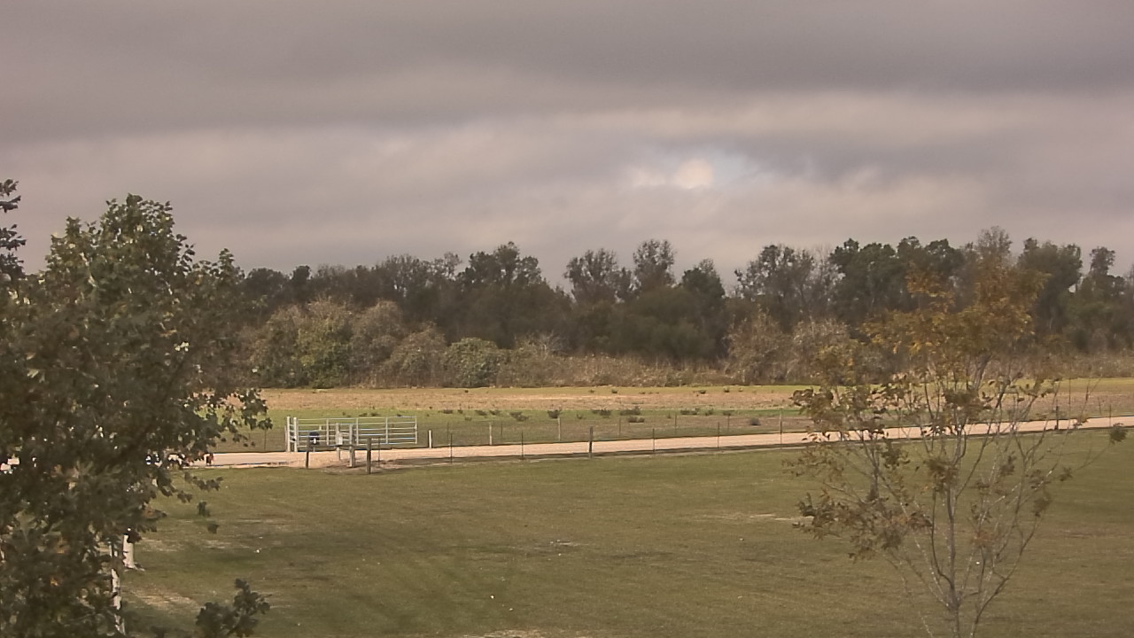 Thumbnail for current weather camera view from Long Acres Ranch in Richmond, Texas