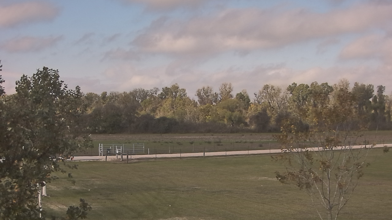 Thumbnail for current weather camera view from Long Acres Ranch in Richmond, Texas