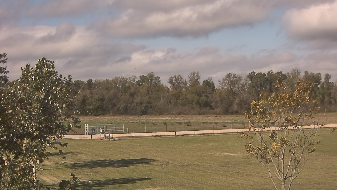 Thumbnail for current weather camera view from Long Acres Ranch in Richmond, Texas