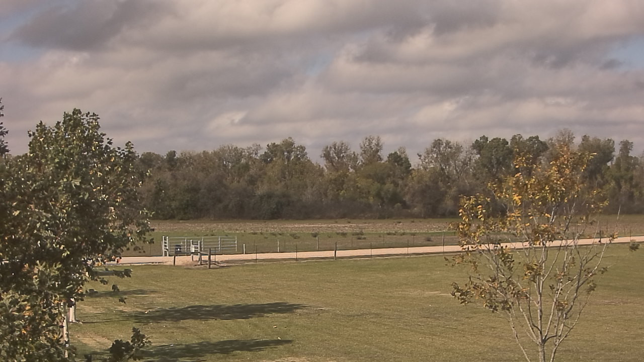 Thumbnail for current weather camera view from Long Acres Ranch in Richmond, Texas