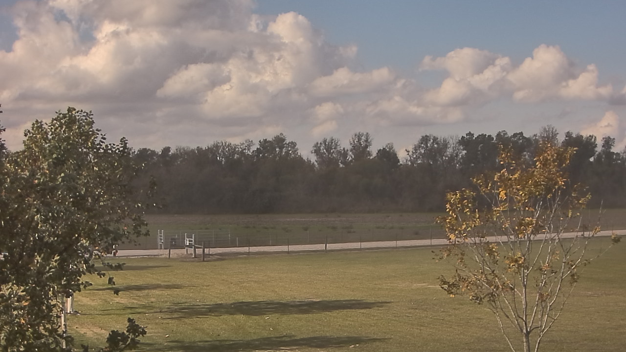 Thumbnail for current weather camera view from Long Acres Ranch in Richmond, Texas