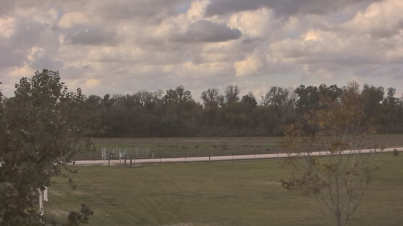 Thumbnail for current weather camera view from Long Acres Ranch in Richmond, Texas