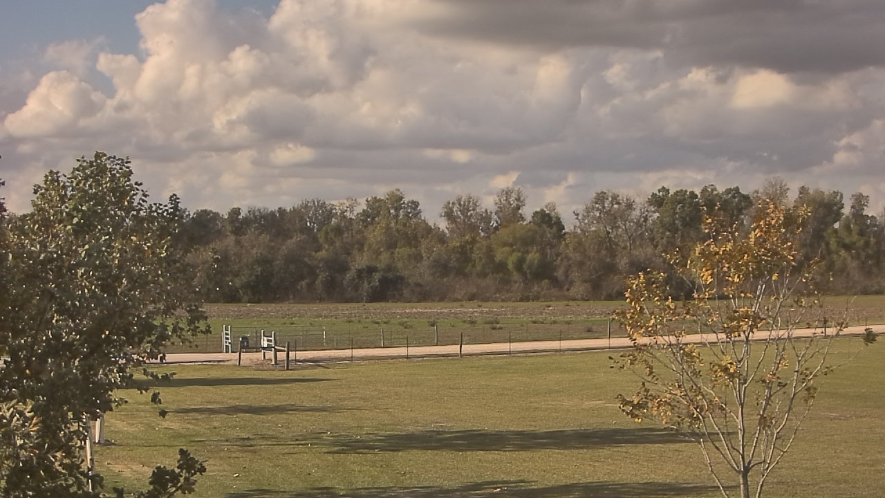 Thumbnail for current weather camera view from Long Acres Ranch in Richmond, Texas