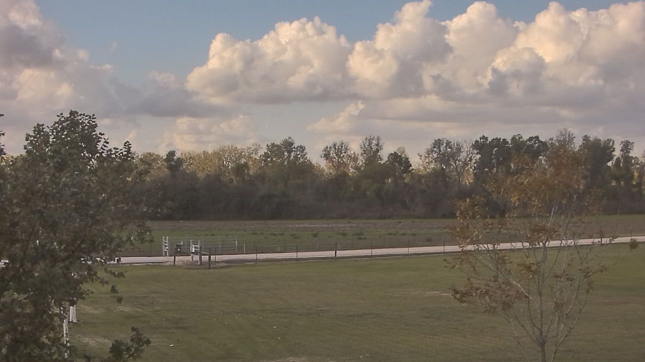 Thumbnail for current weather camera view from Long Acres Ranch in Richmond, Texas