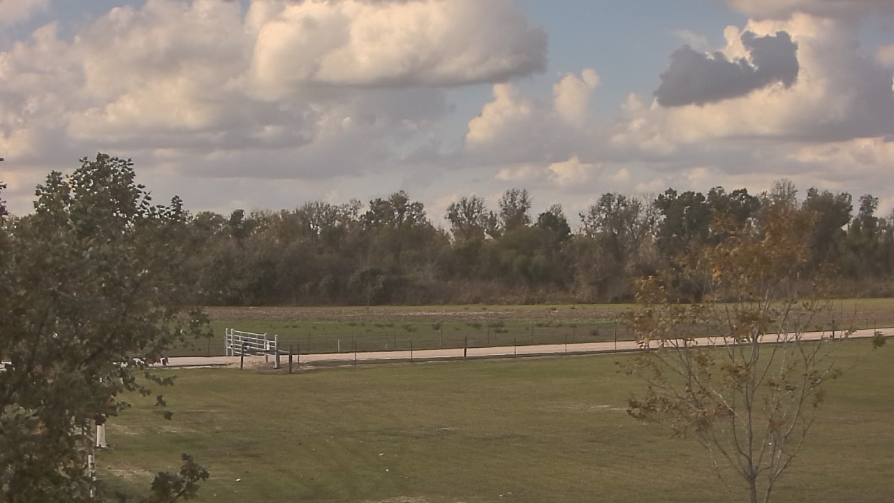 Thumbnail for current weather camera view from Long Acres Ranch in Richmond, Texas