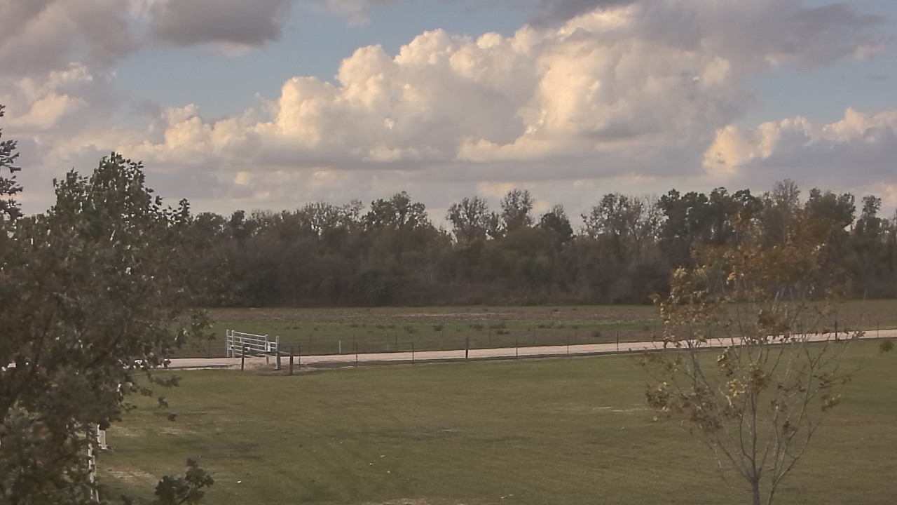 Thumbnail for current weather camera view from Long Acres Ranch in Richmond, Texas
