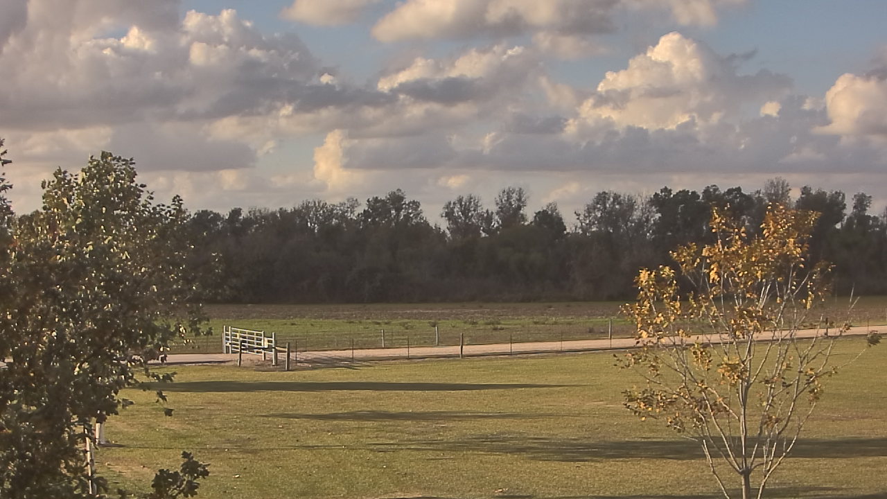 Thumbnail for current weather camera view from Long Acres Ranch in Richmond, Texas