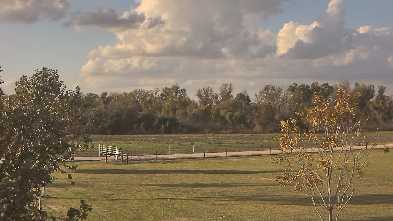 Thumbnail for current weather camera view from Long Acres Ranch in Richmond, Texas