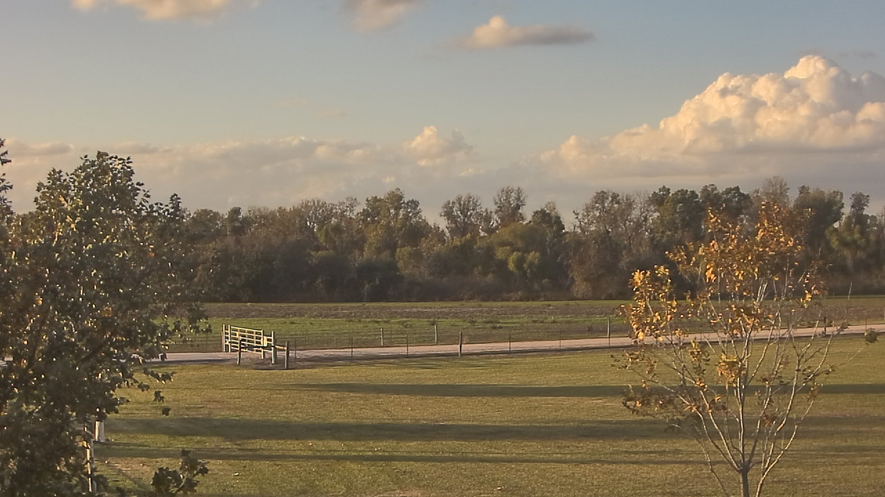 Thumbnail for current weather camera view from Long Acres Ranch in Richmond, Texas