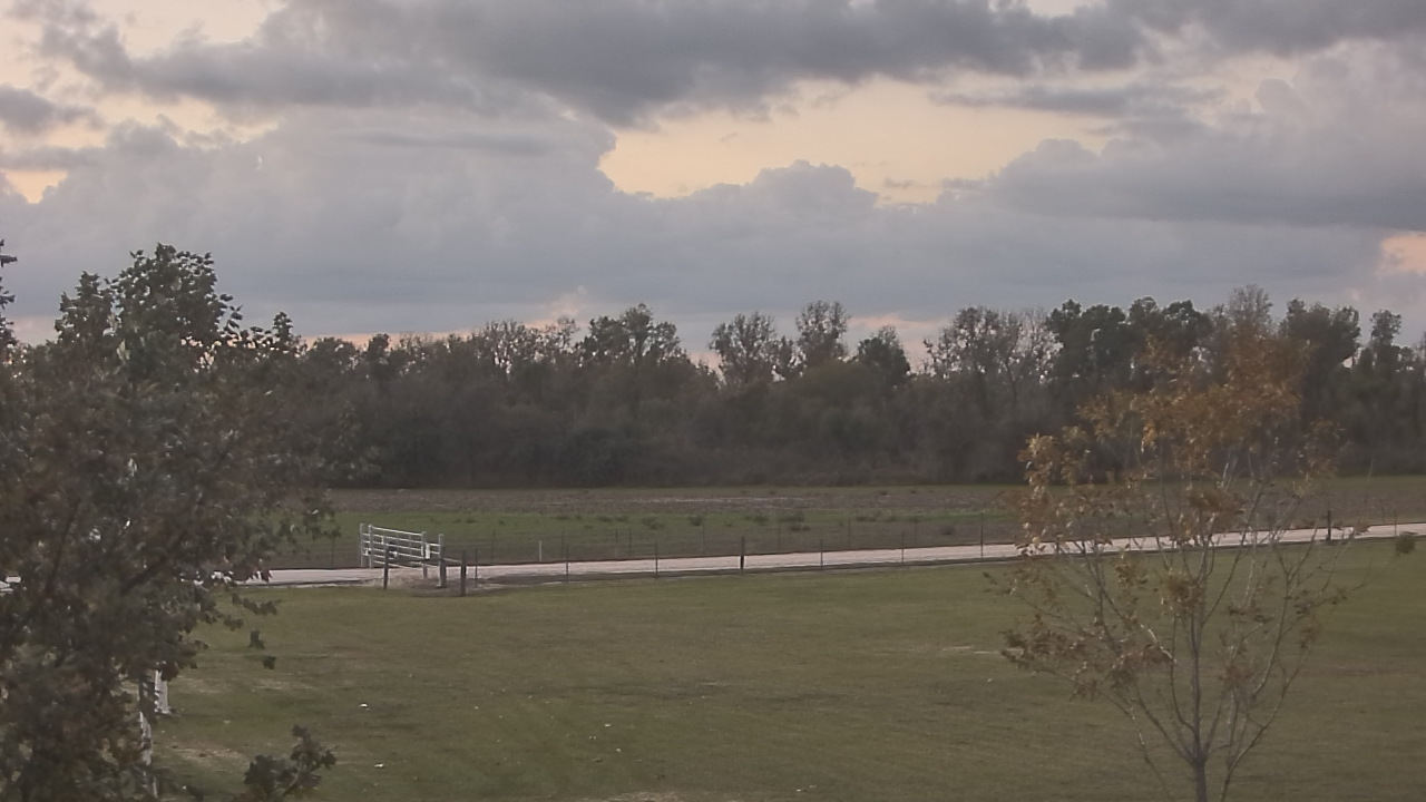 Thumbnail for current weather camera view from Long Acres Ranch in Richmond, Texas