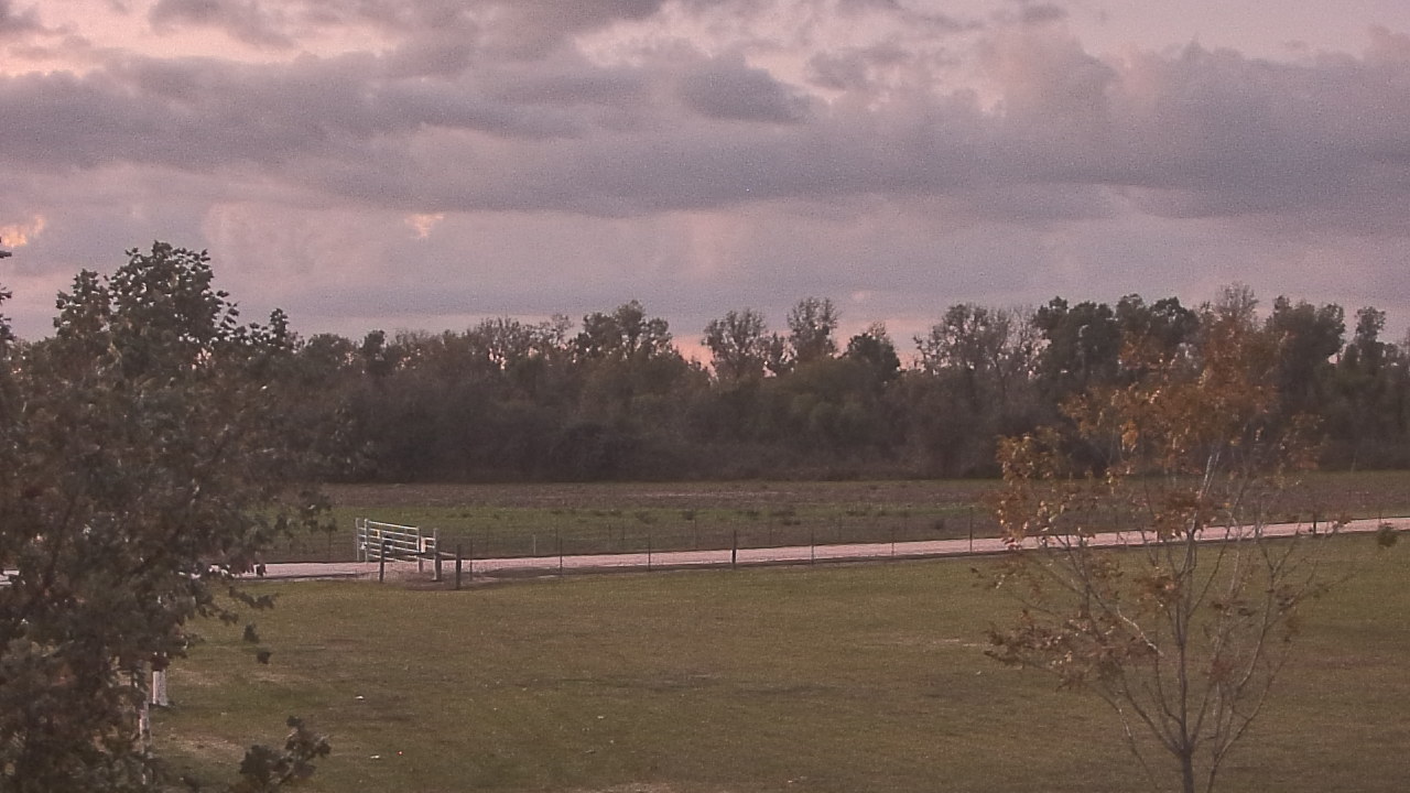 Thumbnail for current weather camera view from Long Acres Ranch in Richmond, Texas